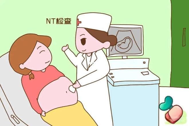 NT是个啥？