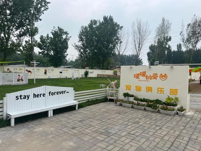 三种宠物寄养方式大解析：如何为爱宠选择最合适的寄养方案？