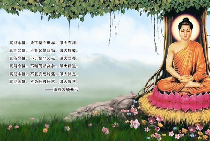 佛教的生命观：轮回、因果与涅槃