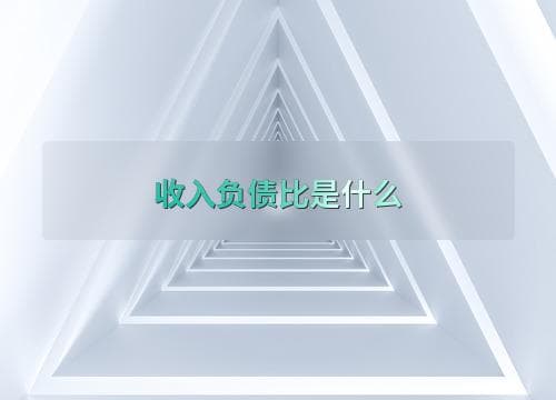 收入负债比是什么