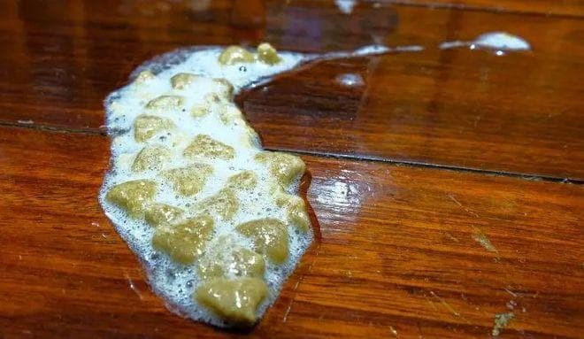 5种猫咪呕吐物颜色对照，这两种需马上就医！