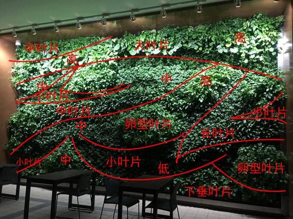 垂直绿化植物指南：设计师必读的专业参考