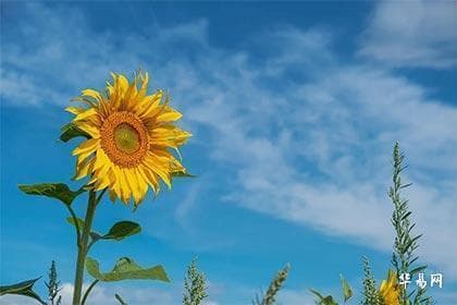 天干地支：中国传统文化中的时间密码