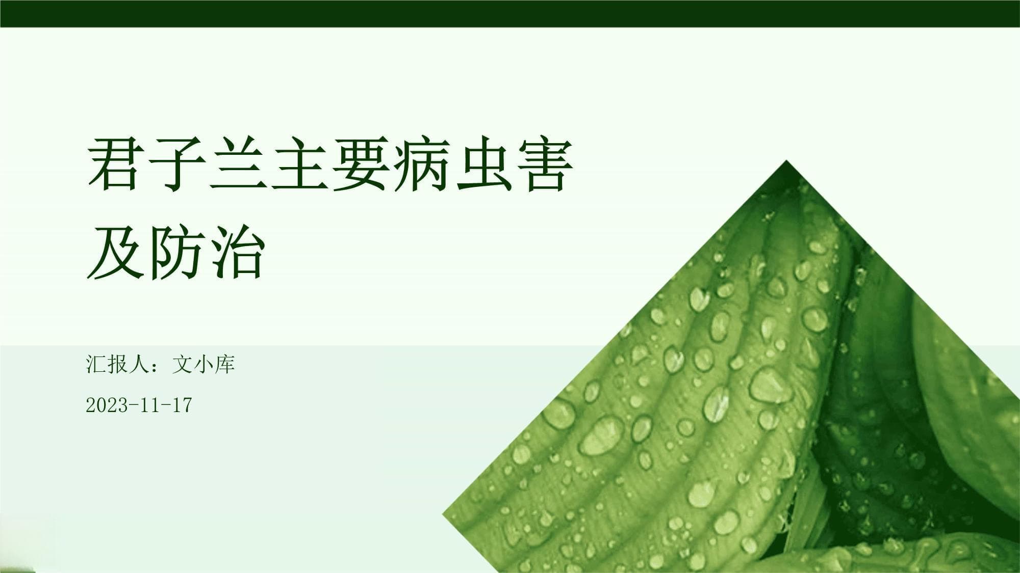 君子兰主要病虫害及防治