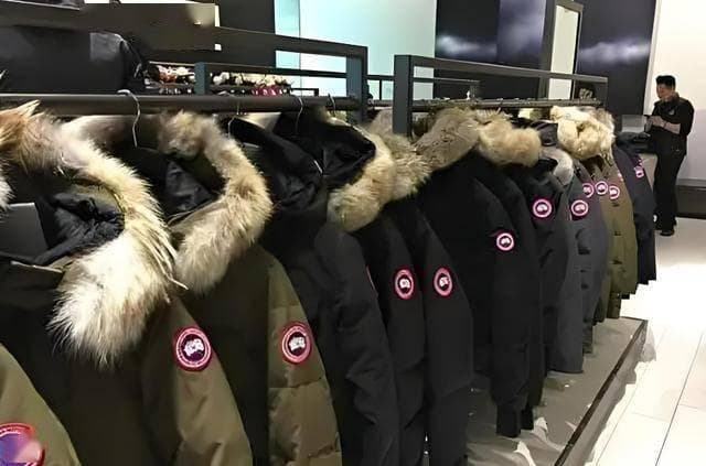 央视曝光羽绒服造假：如何避免买到劣质产品？