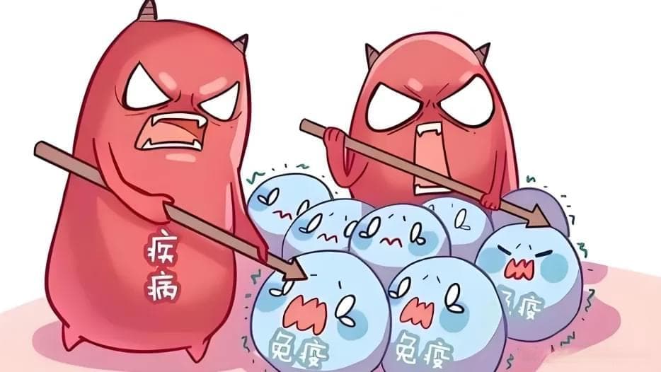 重症肌无力背后的原因，是免疫系统“叛变"