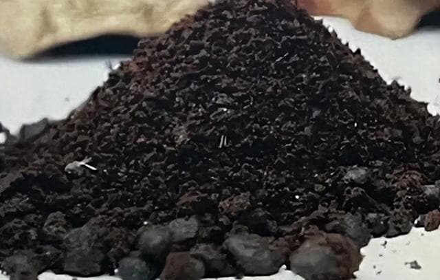 “开窍醒神第一要药”——麝香