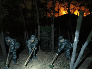 广东肇庆山火被600人救援队伍成功扑灭