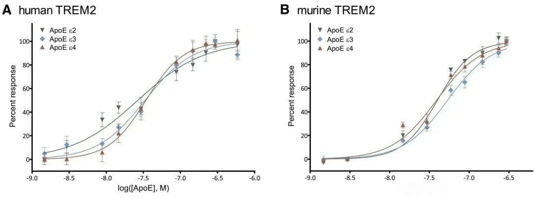 解锁炎症和肿瘤免疫治疗新靶点：TREM1＆TREM2