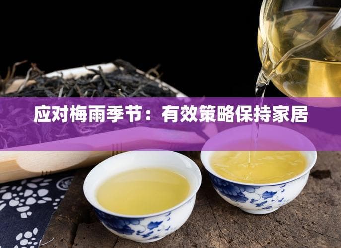 应对梅雨季节：有效策略保持家居干燥