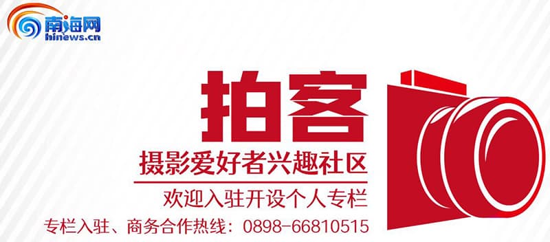 拍客｜昌江：木棉花开，春色醉游人