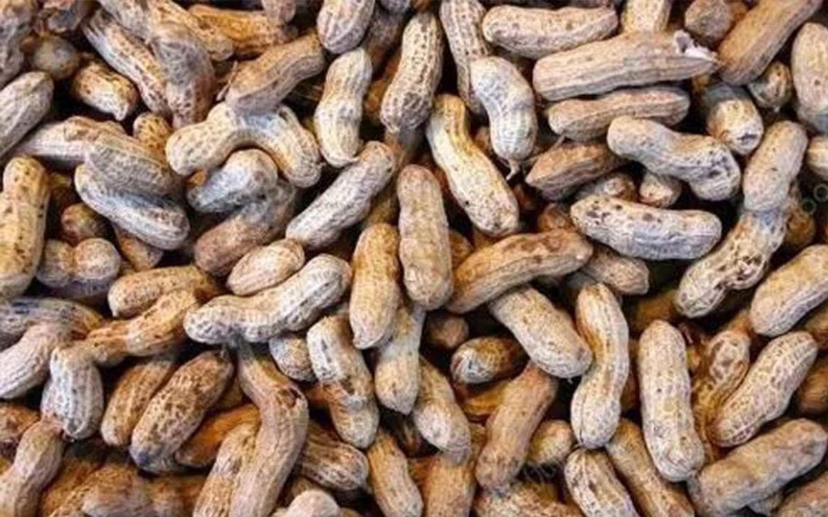 孕妈称吃到发霉面包宫缩入院，日常生活如何远离霉菌毒素？