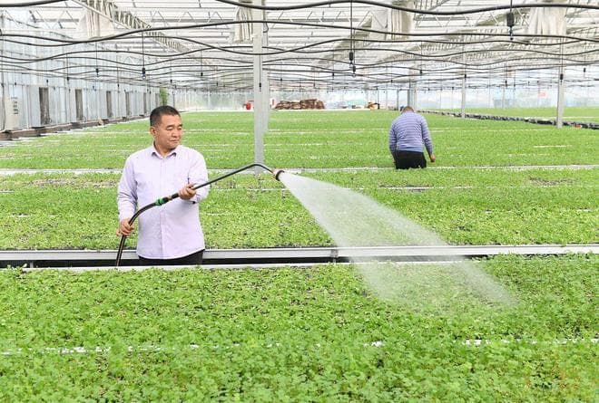 科技赋农：数字农业驱动传统农业转型升级