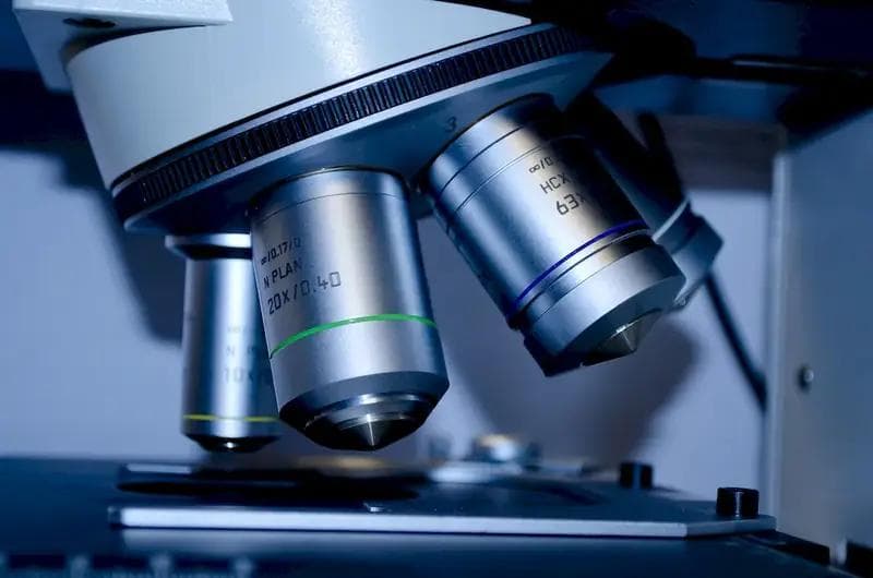 科学实验室技术员：全面的职业指南