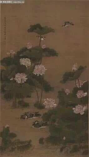 观荷节由来及各地习俗