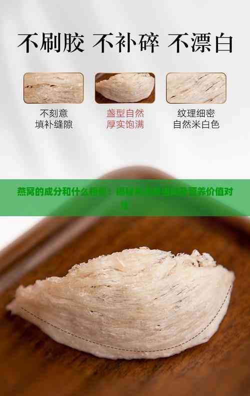 燕窝的成分和什么相似：揭秘其主要组成及营养价值对比