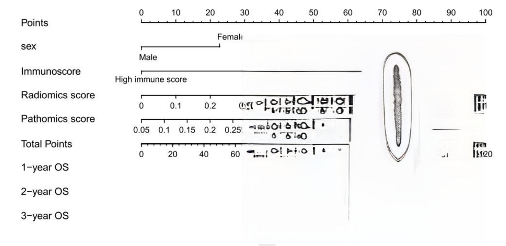 影像组学技术助力直肠癌预后预测：国家自然科学基金项目重要突破