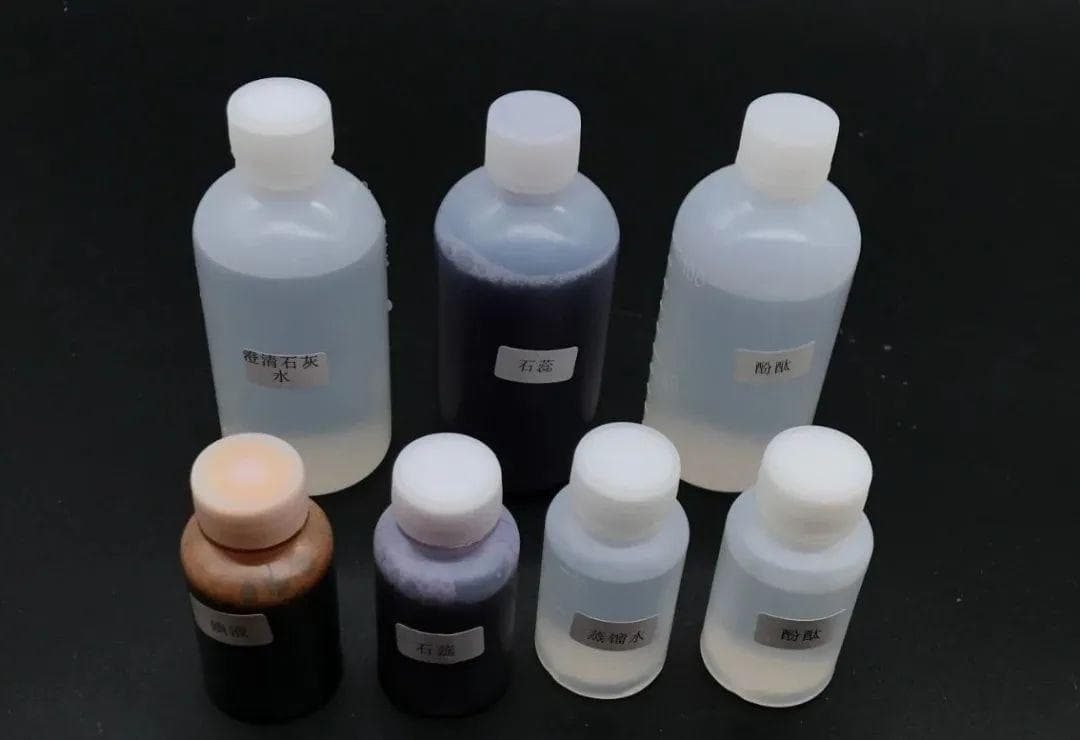 紫色石蕊试液及蓝色和红色石蕊试纸