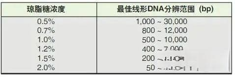 琼脂糖凝胶电泳实验的原理、步骤、结果判读及技巧
