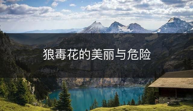 狼毒花的美丽与危险