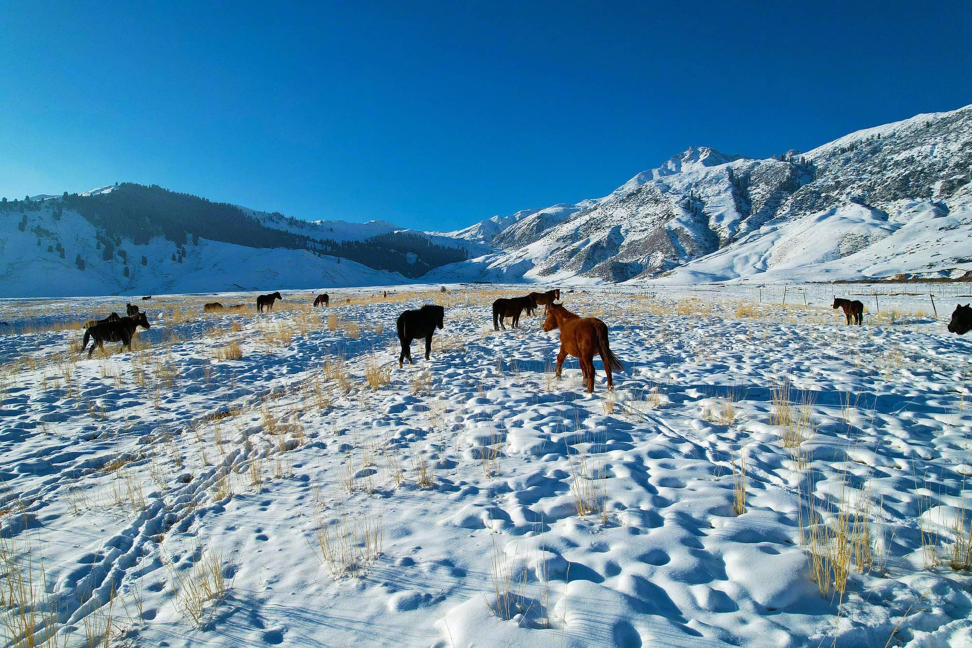 探秘阿克苏：邂逅雪山与峡谷的壮美传奇