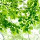 股票跌破5日线意味着什么？详解其背后的技术分析逻辑