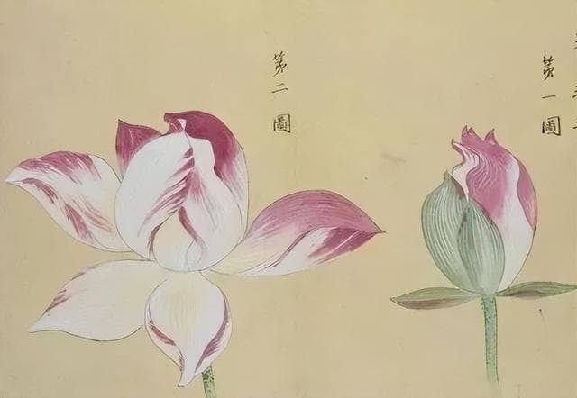 《人民日报》总结的60条常被误用的成语，第一个就犹豫了