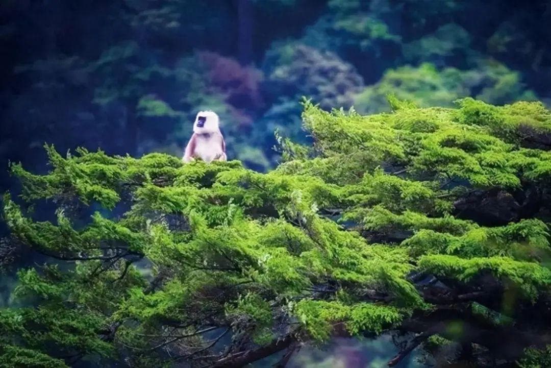 珠峰脚下的人间仙境：走进西藏日喀则六大绝美景点