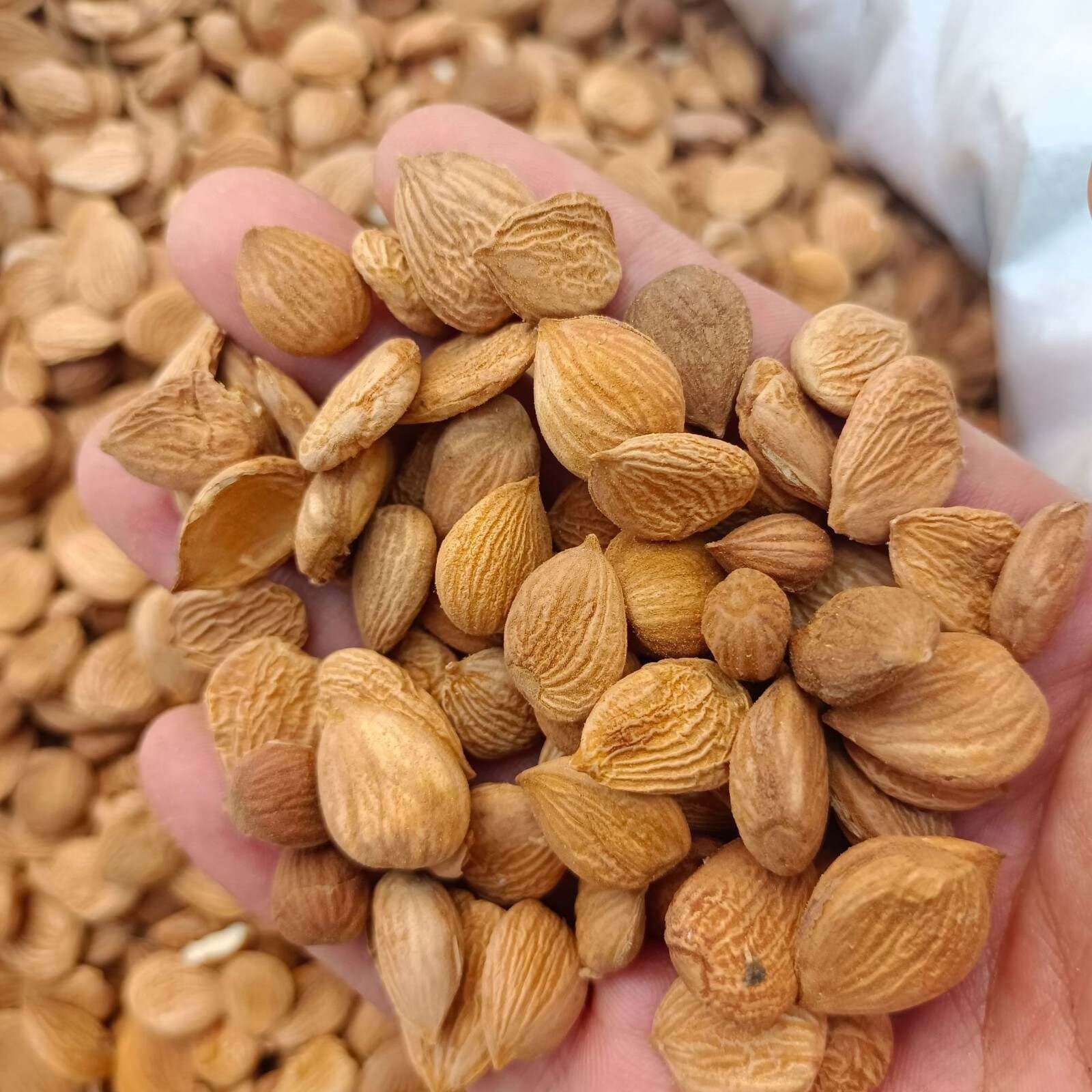 几种食物中所包含的营养物质竟是帮助脑鸣患者改善的好东西