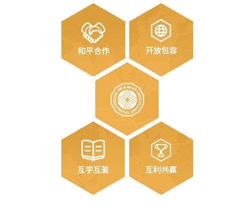 “一带一路”国际合作奖