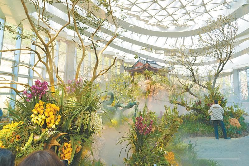 福州三江口植物园：打造国内最大兰花温室，年底开园迎客