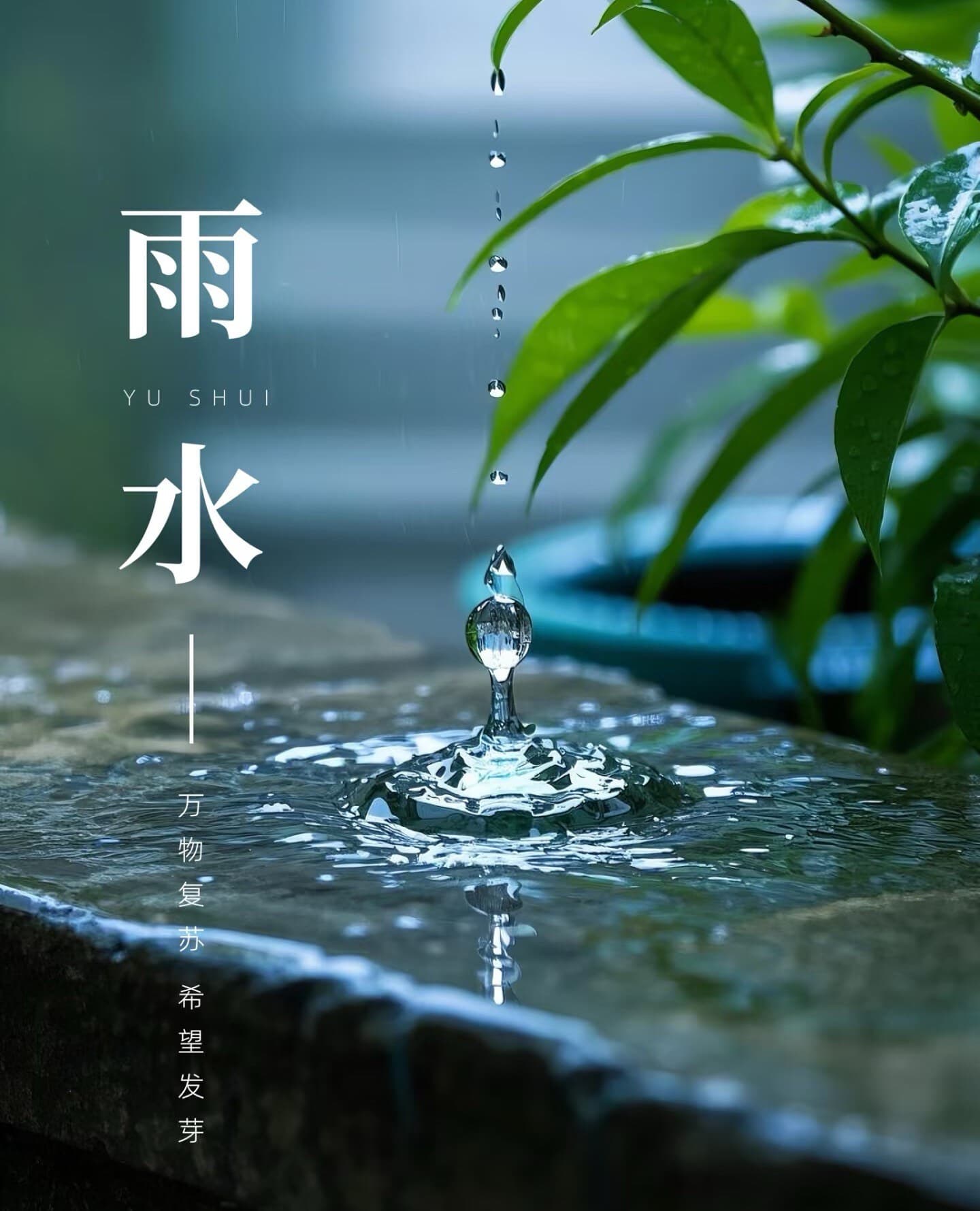雨水养生正当时，建议记住这5点！
