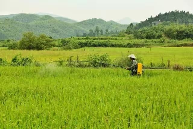 芸苔素使用指南：分类、混配配方及注意事项全解析