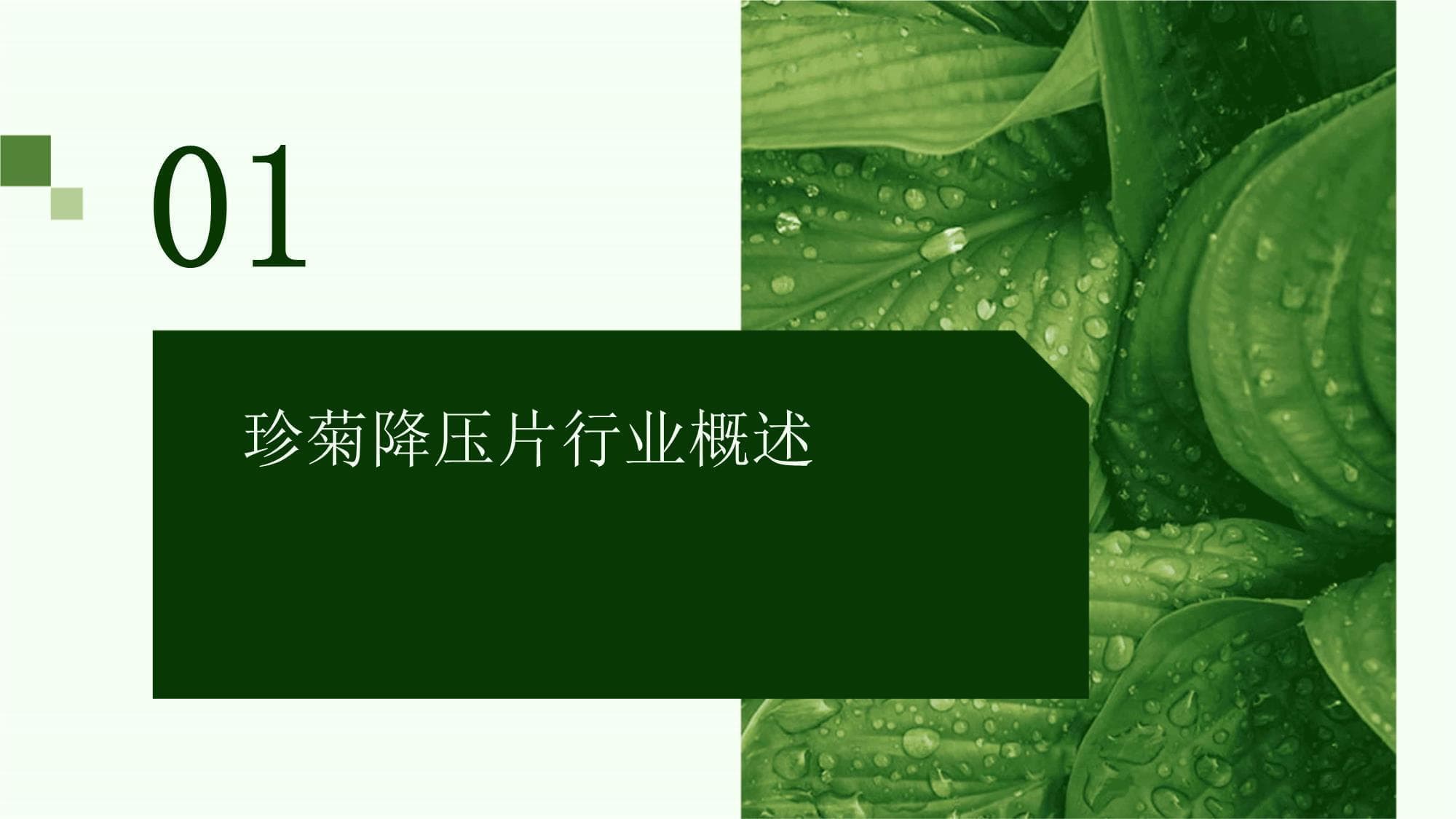珍菊降压片行业市场深度分析与发展前景预测报告