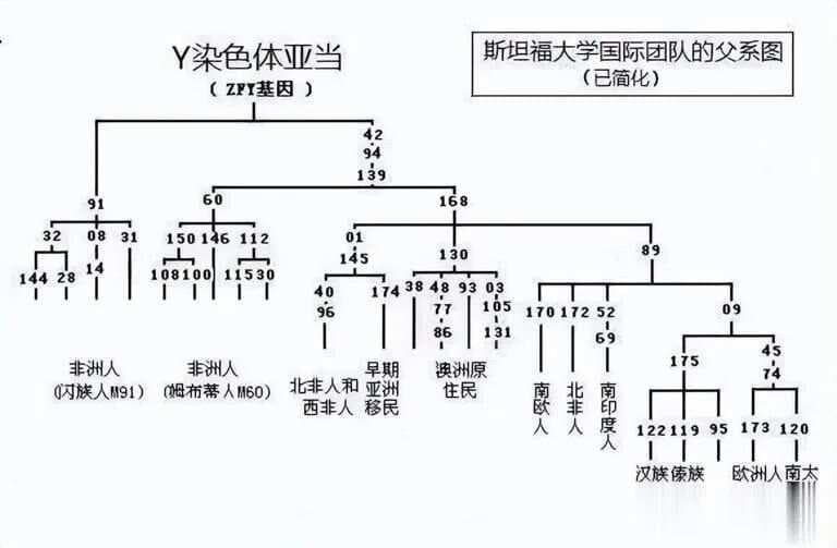 人类起源之争：非洲还是东亚？