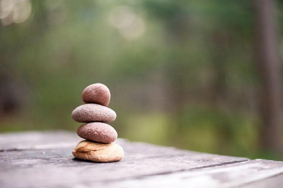 《六祖坛经》所蕴藏的人生和开悟智慧，打破了多个成见