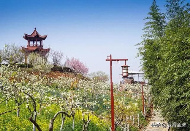 探秘汉中洋县朱鹮梨园，赏万亩梨花，感人文魅力！
