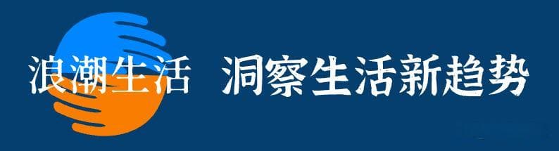 卡皮巴拉为什么火了？动物界新晋顶流，水豚的佛系魅力