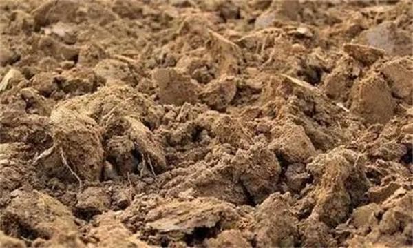 土壤肥力失衡、土壤质量下降、土壤酸化怎么办