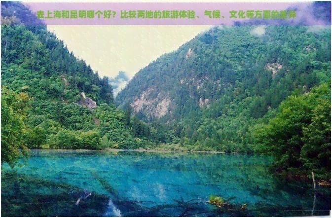 去上海和昆明哪个好？比较两地的旅游体验、气候、文化等方面的差异