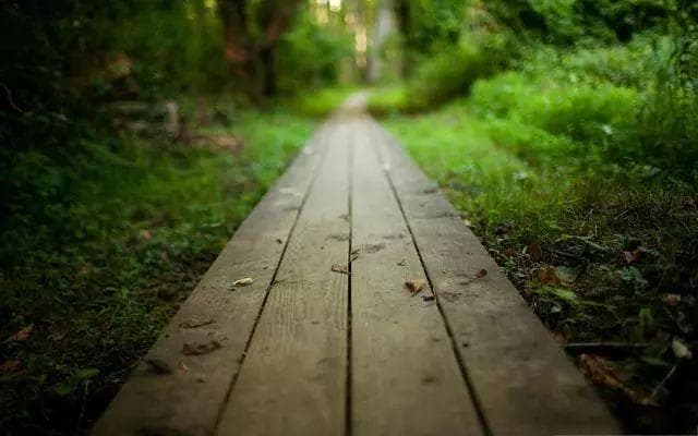 齐善鸿讲《道德经》第七十六章：人生的两条道路