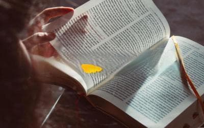 闲暇时间的妙用：如何让你的空闲时间更有价值