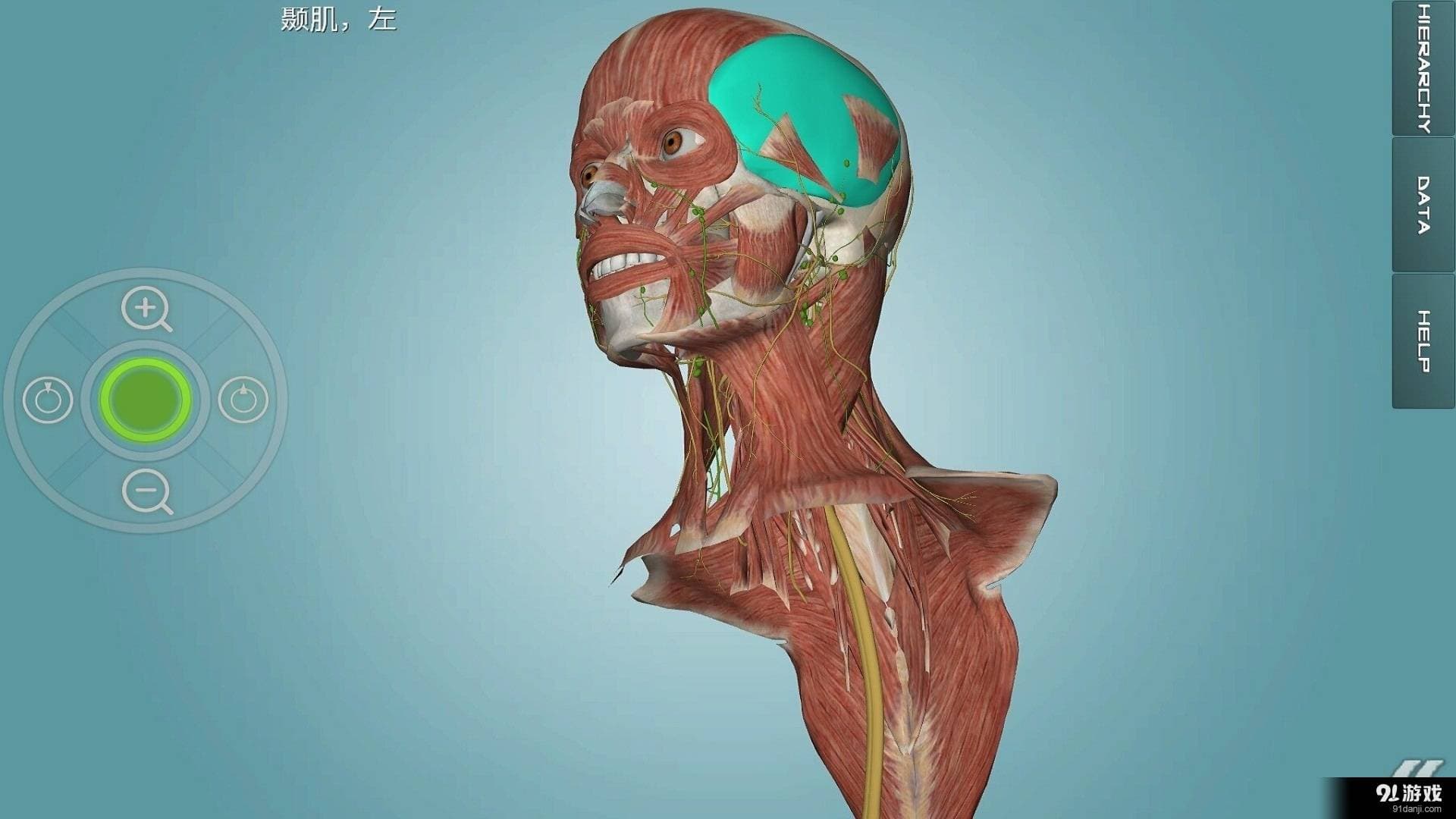 人体解剖学图集：一款专业的3D医学解剖软件