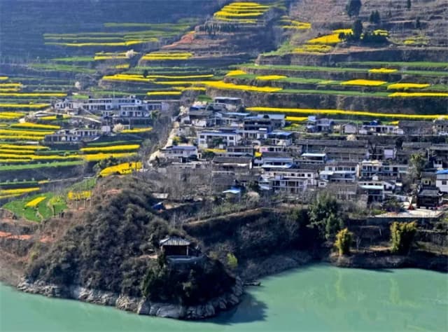 陇南文县：油菜花开引客来　农文旅融合绘新景
