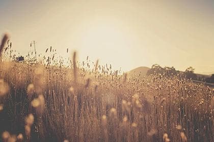 命主贪狼在紫薇中代表什么意思啊？贪狼星分析