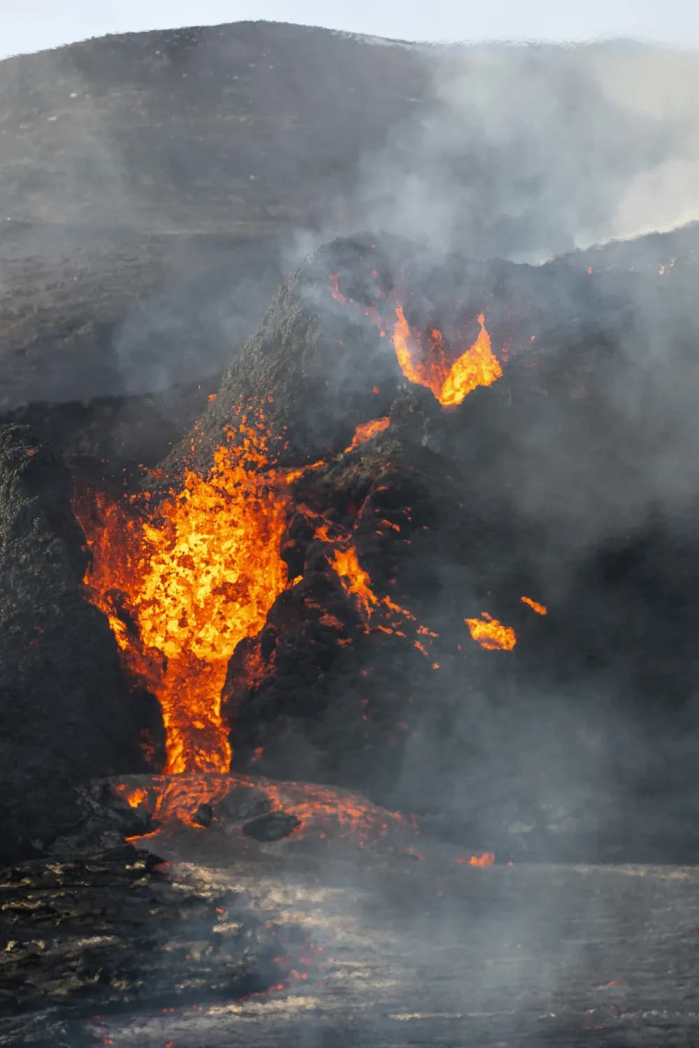火山冬天里的幸存者：揭秘恐龙如何躲过三叠纪末的大灭绝