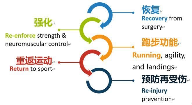 前交叉韧带重建术后康复关键事项