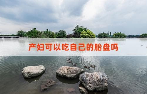 产妇可以吃自己的胎盘吗？深度解析胎盘的营养与适用性