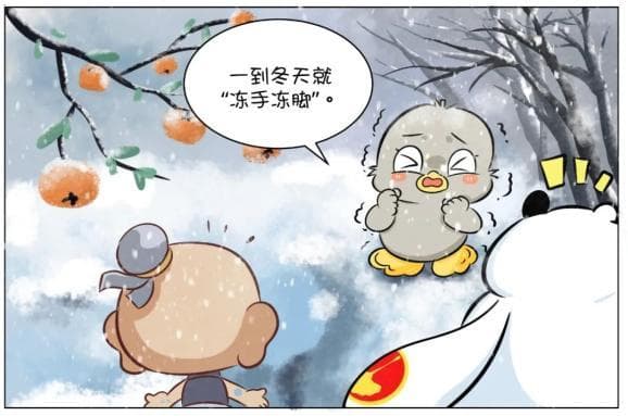 冬季养生全攻略：中医推荐三款养生食谱