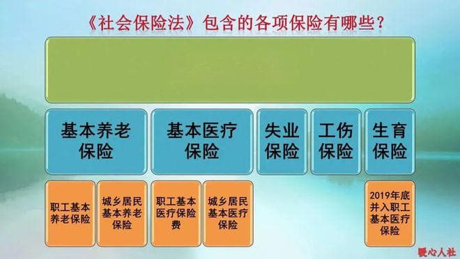 社保交满了15年，到退休年龄领的是养老金，还是继续领失业金？